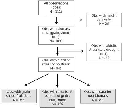 Effectiveness of bio-effectors on maize, wheat and tomato performance and phosphorus acquisition from greenhouse to field scales in Europe and Israel: a meta-analysis